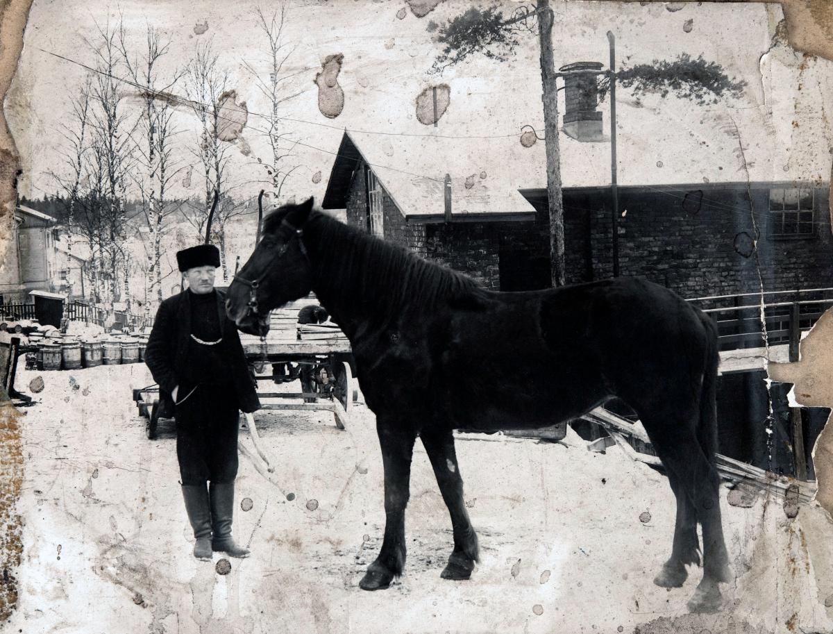Ajuri hevosineen Sörnäisten kalatehtaan edessä Hermannissa 1930-luvulla. Kuva Helsingin kaupunginmuseo.